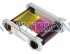 Evolis R5F008EAA: Color Ribbon 300 prints/roll for Primacy Printers.